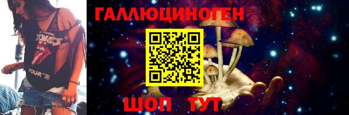 Зеленокумск  Галлюциногенные грибы Magic Shrooms  купить наркотики сайты  Вход с VPN  Галлюциногенные грибы Psilocybe 